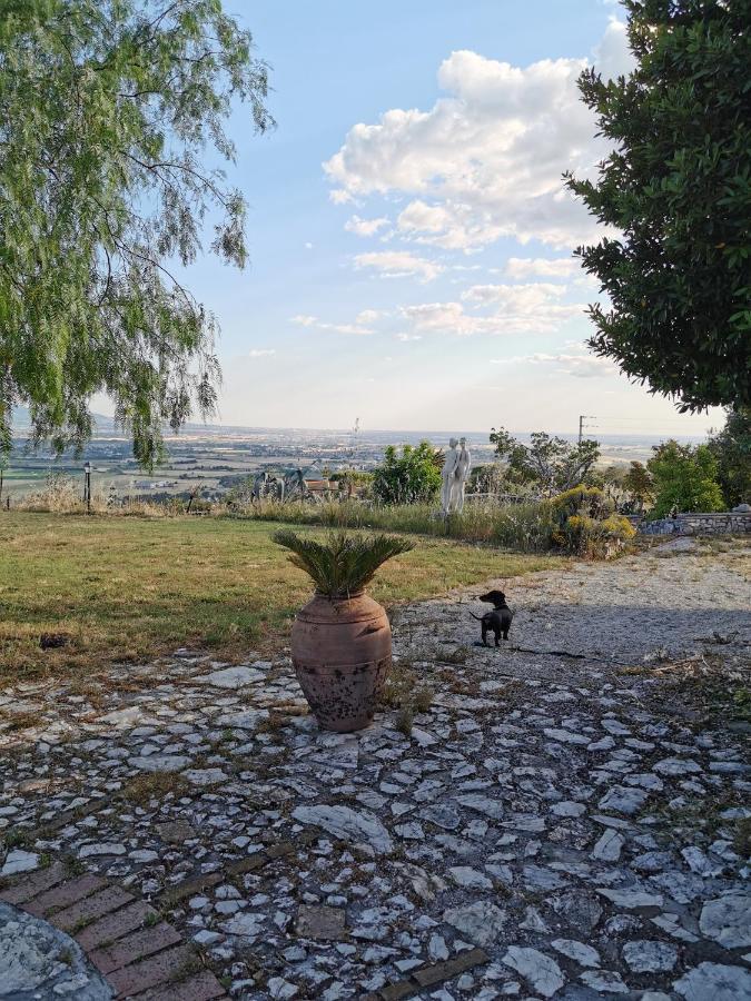 Villa Dei Romani - Country House Guidonia Exterior foto